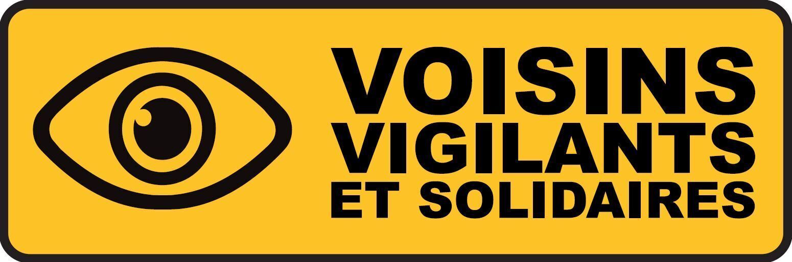 Logo VVS.JPG