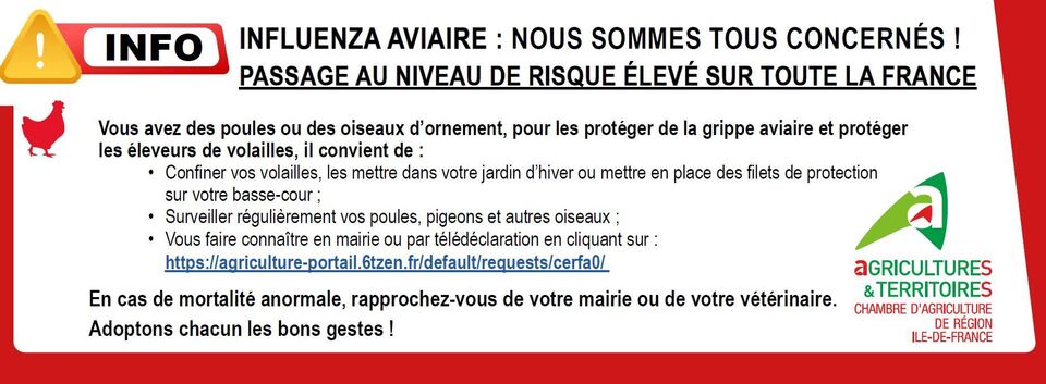 Influenza aviaire-2.JPG