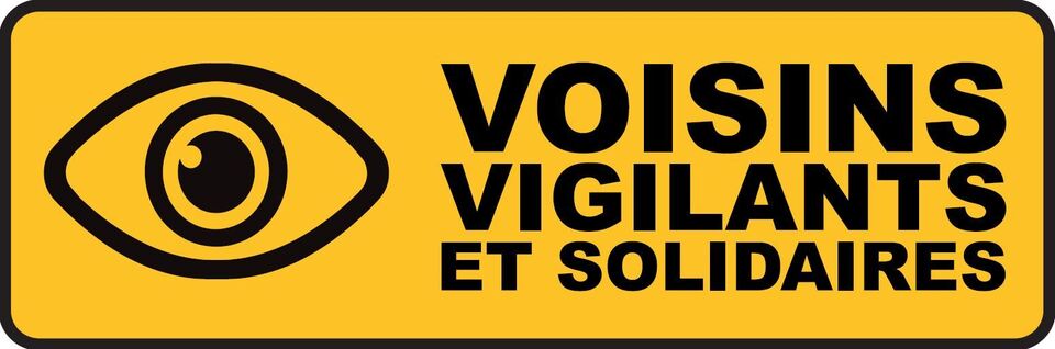 Logo VVS.JPG