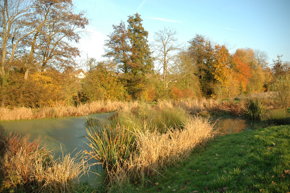 Mare - Vallée de la Brosse