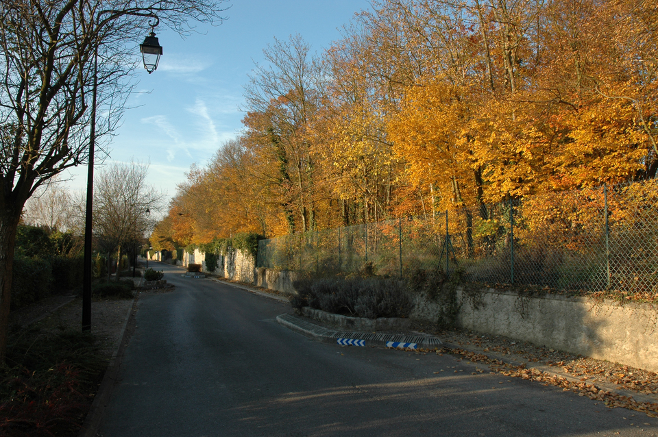 Rue du parc