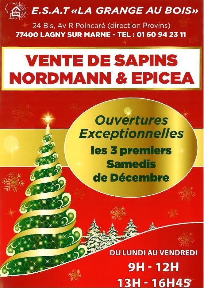 Vente De Sapin De Noel Lyon 2025 Gretta Teirtza
